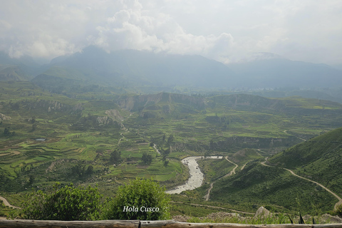 Desde Arequipa: Cañón del Colca 1 Día