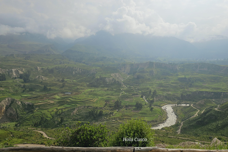 De Arequipa: Colca Cañon 1 dia