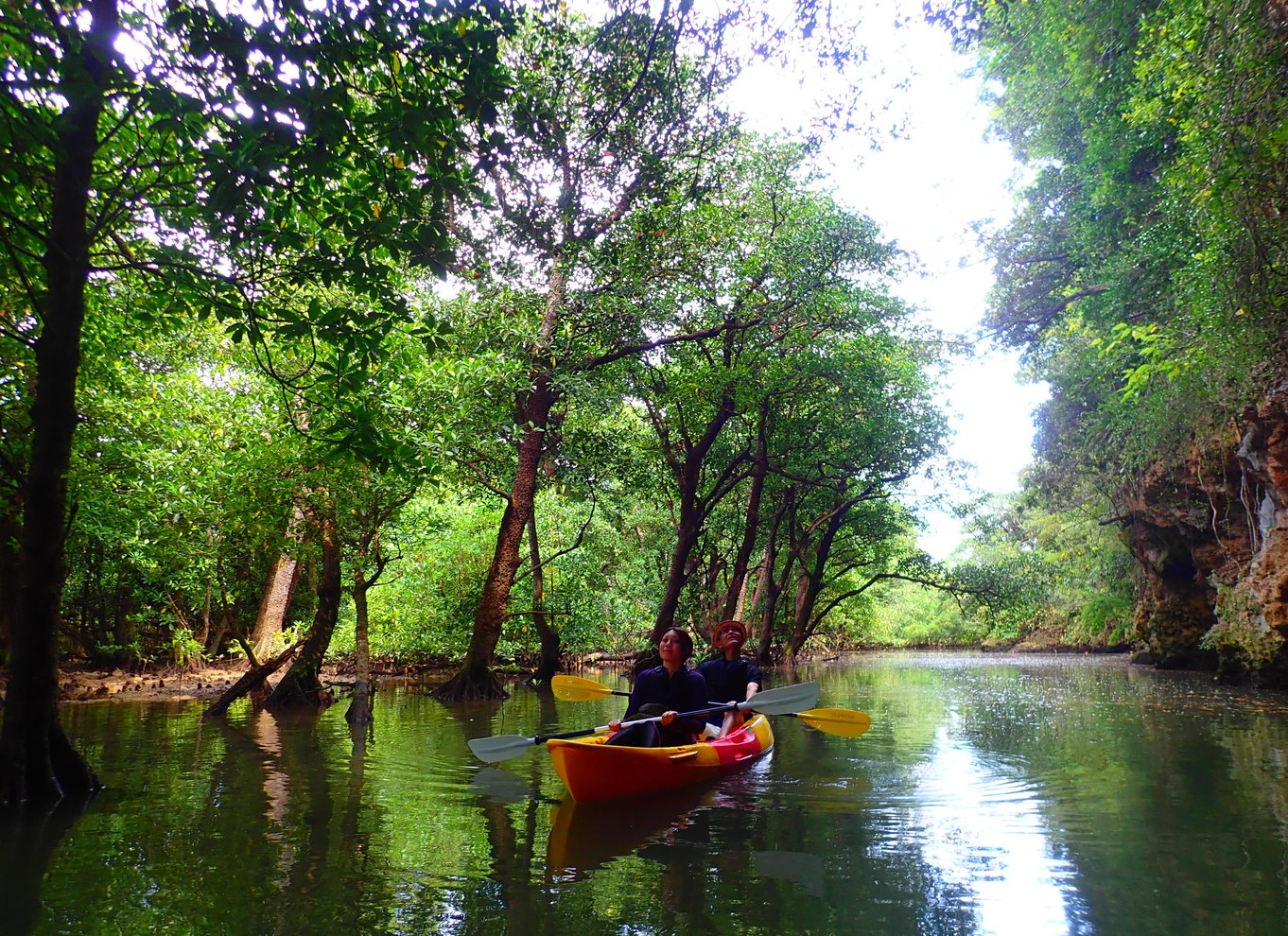 Ishigaki: Kano på mangrovefloden + snorkling på Phantom Island