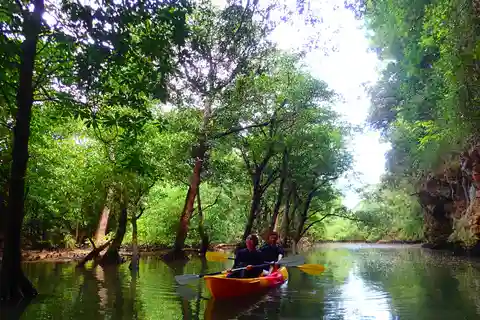 Ishigaki: Mangrove River Canoe + Phantom Island Snorkeling