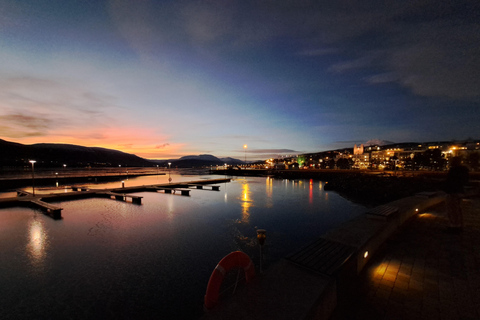 Akureyri: 3-Day Northern Lights, Whales, &amp; Lagoon Tour