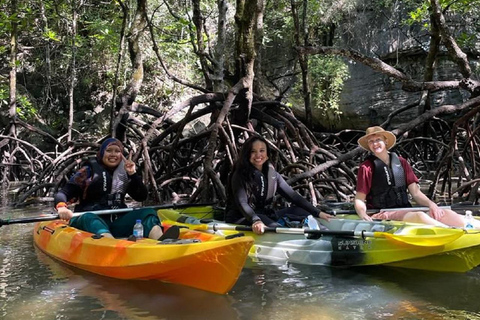 Langkawi: Sunset Kayaking TourSunset Kayak Double Tour with Hotel Transfer