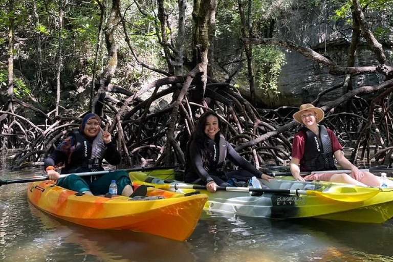 Langkawi: Sunset Kayaking Tour Sunset Kayak Double Tour with Hotel Transfer