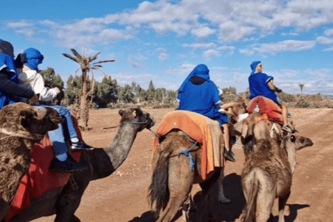 Marakesz: Palmeraie Camel Ride i tradycyjne spa marokańskie