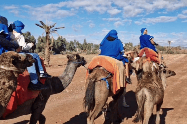 Marrakech: Palmeraie, paseo en camello y spa tradicional