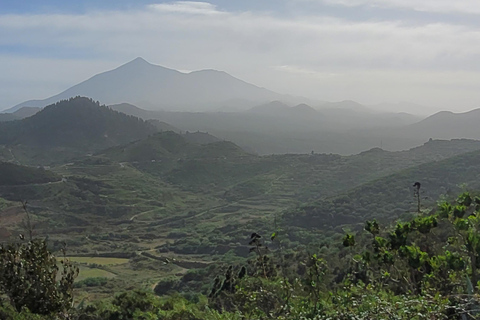 Teno: Circular hike from Erjos over the mountain ridge with views of Masca