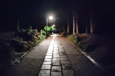 Nara: descubre la belleza atemporal en un tranquilo paseo nocturno.Nara: descubre la belleza atemporal en un tranquilo paseo nocturno