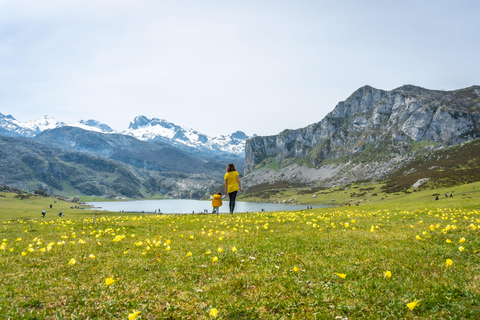 From Oviedo and Gijon: Covadonga Lakes, Cudillero, and the Regalina Shrine Lakes of Covadonga, Cudillero, and the Regalina Hermitage from Gijón (ESP)