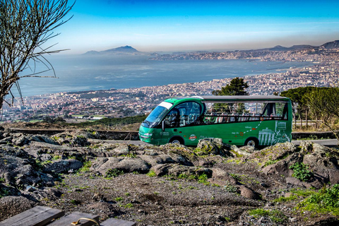 Från Rom: Pompeji och Vesuvio Guidad dagsutflykt med lunchFrån Rom: Pompeji och Vesuvius Guidad dagsutflykt med lunch