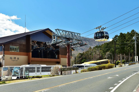 From Tokyo: Mount Fuji & Hakone and Gotemba Full Day Trip Luxury Car Porches Cayenne & Crown