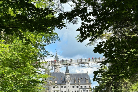 De Zurique: Excursão privada ao Castelo de Neuschwanstein com almoço