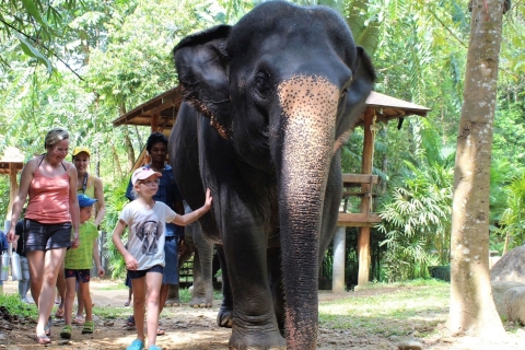 Khao Lak: Ethisches Erlebnis im ElefantenschutzgebietKhao Lak: Erlebnis Elefantenpflege