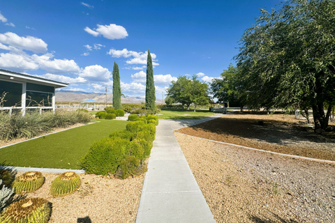 Visite panoramique de Las Vegas/Pahrump avec dégustation de vin et nourritureLas Vegas / Pahrump Dégustation de vins et collations