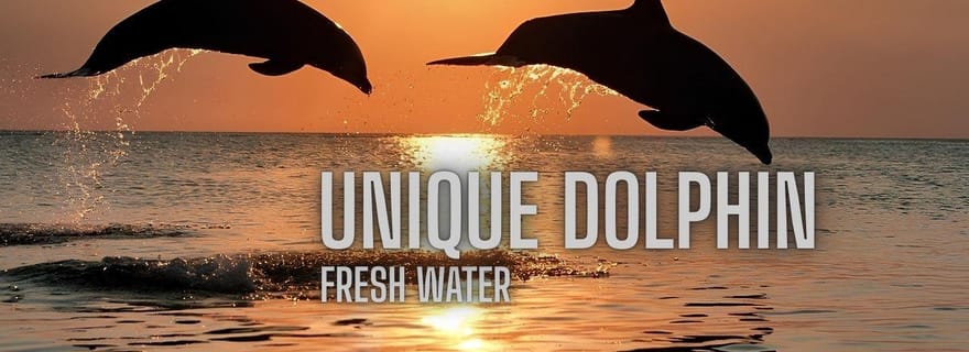 Excursion dauphins à Kratie : Mékong, villages et coucher de soleil