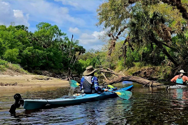 Orlando Alligator Experience: Day-Trip From Orlando Standard Option