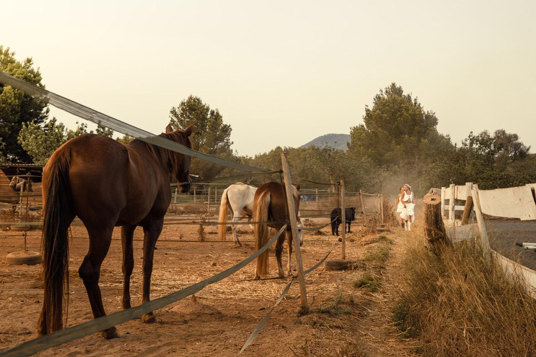 Ibiza: Countryside Horseback Riding Experience