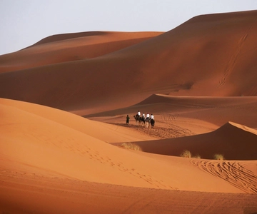 From Marrakech: 3-Day Desert Tour to Fes