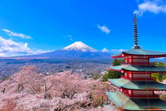 Tokio: Fuji, Seefahrt und Nudel-Erlebnis