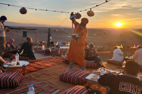 Una notte indimenticabile nel deserto: cena, giro in cammello e in quadNotte indimenticabile nel deserto: cena, giro in cammello e quad