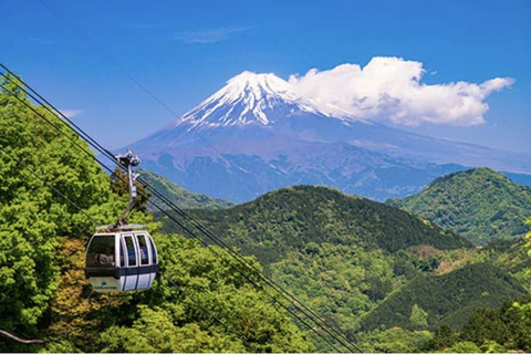 Japan: 7-Day Private Tour with Driver and Guide