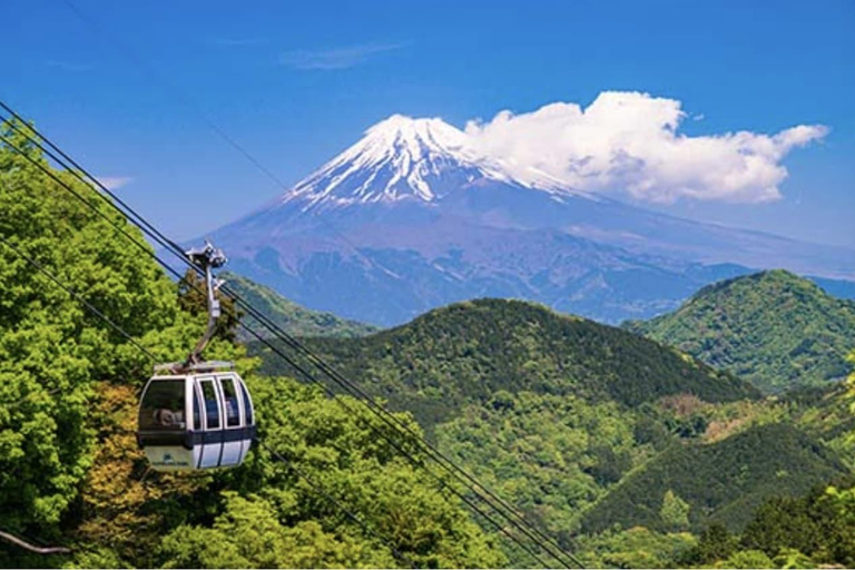Japan: 7-Day Private Tour with Driver and Guide