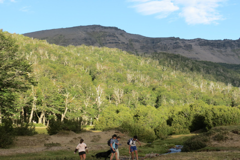 San Martin de los Andes Sightseeing Tour: Mallin Grande