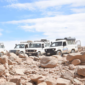Hurghada: Desert Safari with Camel Ride & Dinner Show