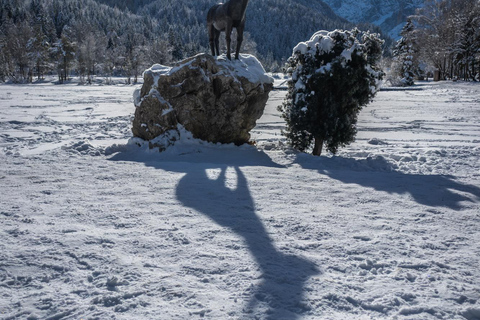 From Ljubljana/Bled: Winter Bohinj & Kranjska Gora Day Trip From Bled — Pickup at your accommodation