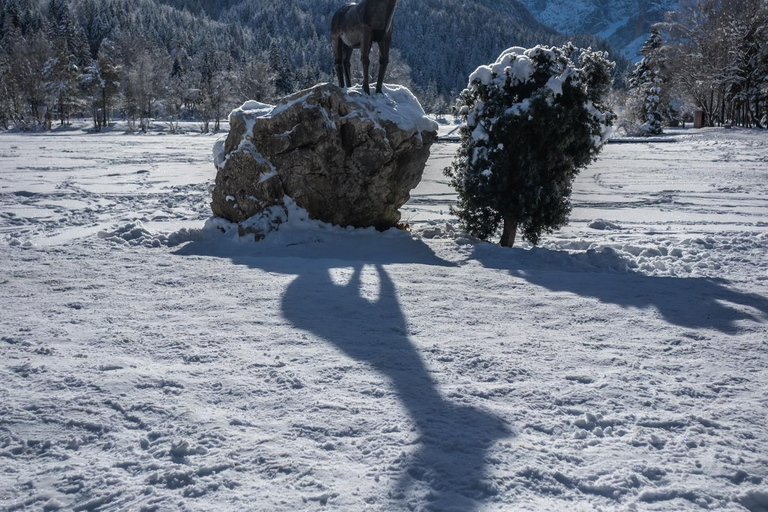 From Ljubljana/Bled: Winter Bohinj & Kranjska Gora Day Trip From Bled — Pickup at your accommodation
