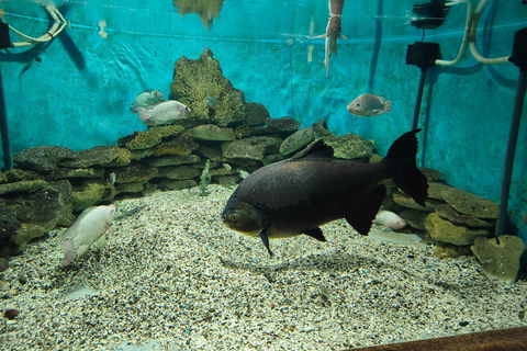 Hurghada: Hurghada City Tour with optional Red Sea Aquarium Group Hurghada City Tour