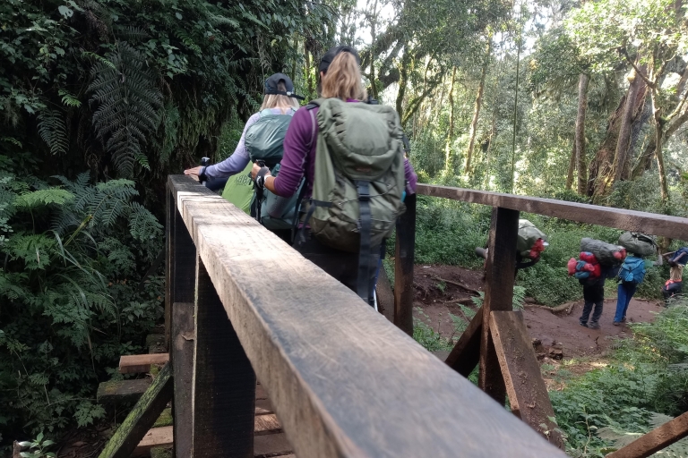Kilimanjaro: 6-daagse Machame Route Trek, 8-daags avontuur