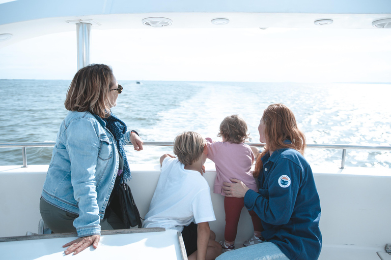 Le Grau-du-Roi - Sea trip to meet the fishing trawlers