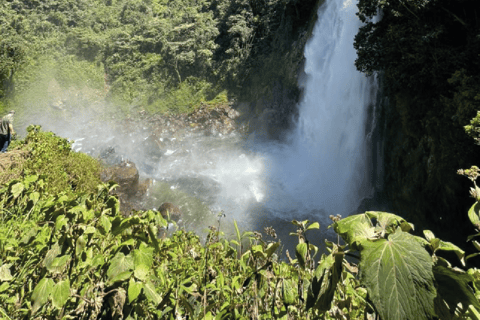 Medellín: Excursion to Salto del Buey, natural connection with waterfalls and canopy.