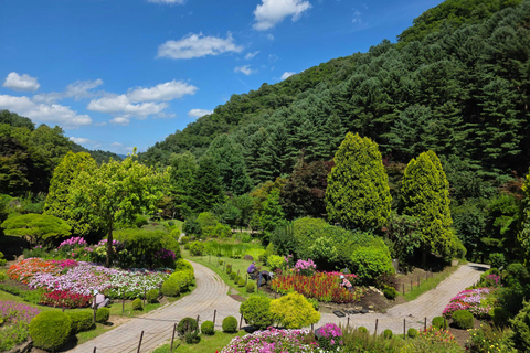 From Seoul: Garden of Morning Calm Day Tour by train