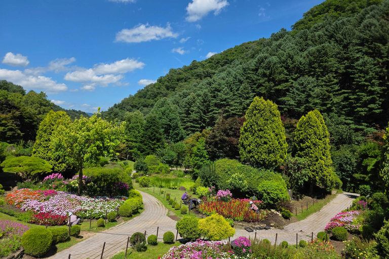 From Seoul: Garden of Morning Calm Day Tour by train