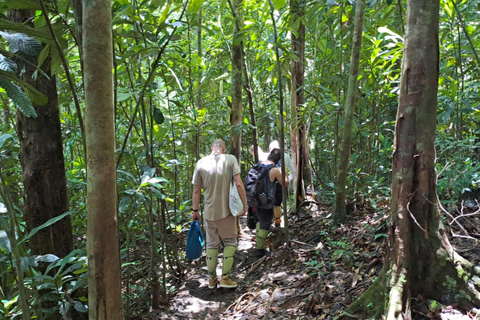 辛哈拉加雨林之旅