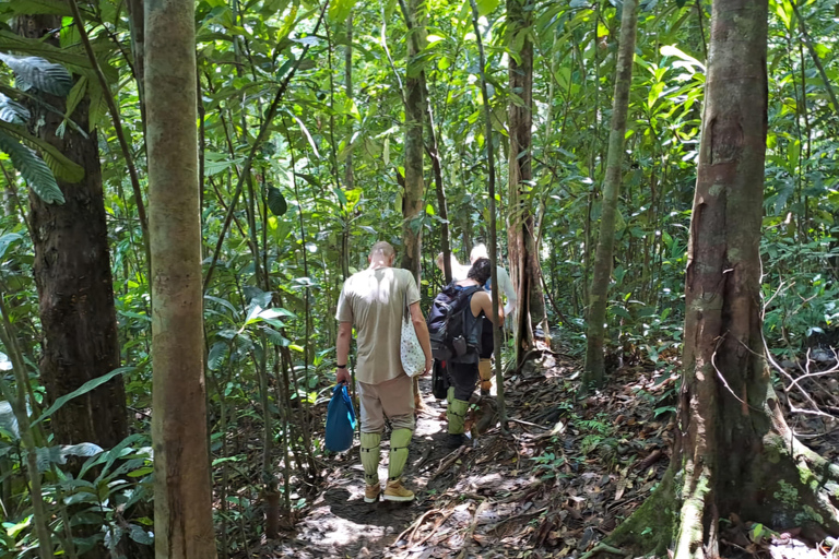 辛哈拉加雨林之旅