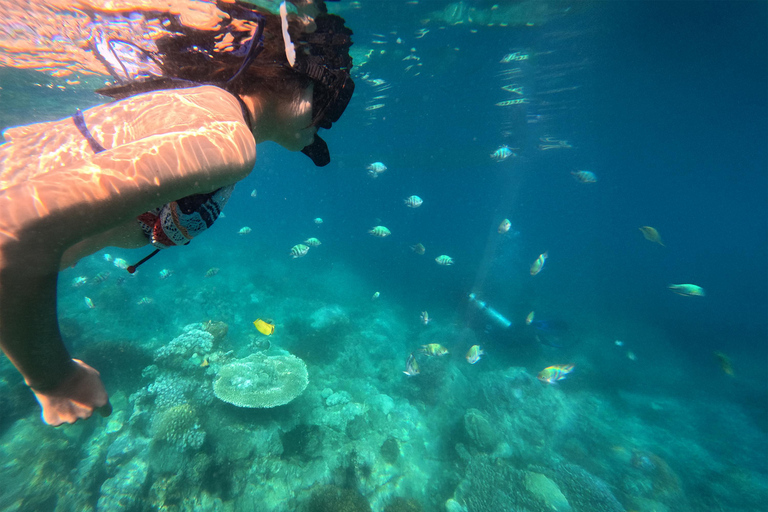 Nha Trang: Aventura de mergulho com snorkel de meio dia com churrasco a bordoExperiências de excursão e banho de lama