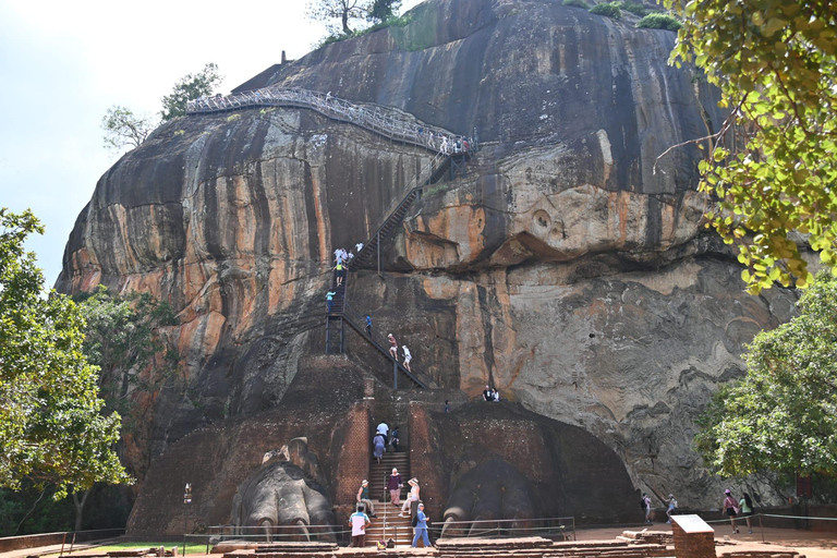 From Colombo: Dambulla, Sigiriya, and Safari Day Trip