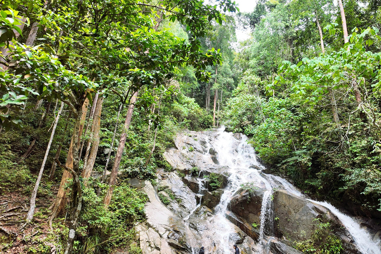 Kuala Lumpur: Kanching Falls, Eagle Feeding & Fireflies Tour Private Tour