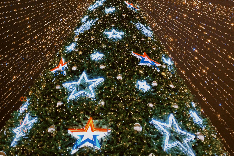 Tbilisi: tour guidato del villaggio di Natale e del mercatinoTbilisi: tour privato del mercatino di Natale del villaggio