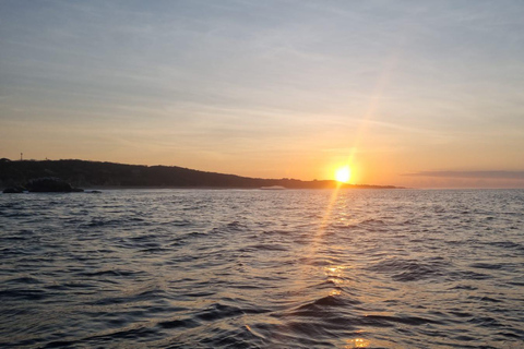 Puerto Escondido: The Best Dolphin Watching Adventure PUERTO ESCONDIDO BEST DOLPHIN WATCHING ADVENTURE