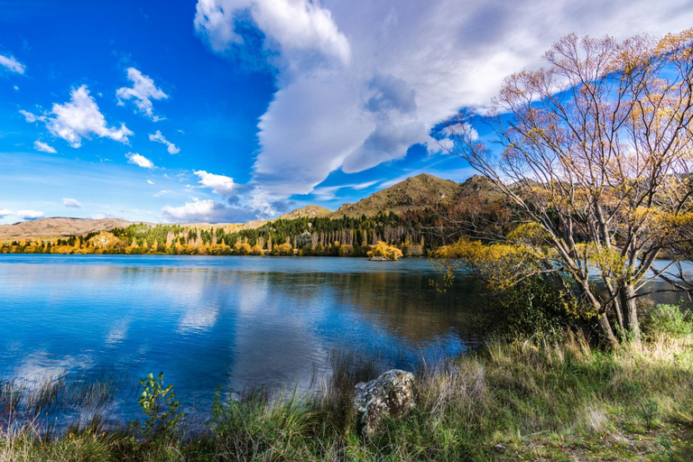 Castle Hill, Arthur's Pass & Southern Alps Day Tour