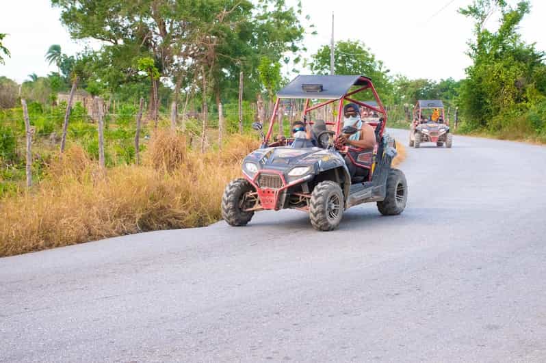 Vip Buggy Cart Deep South VIP Buggy | GetYourGuide