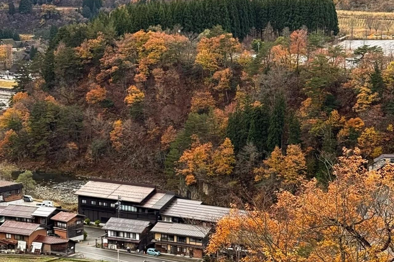 Nagoya Exclusive: Shirakawa-go Gassho Village &Takayama Tour 8:30 AM at Takayama & Shirakawa-go Gassho Village Day Tour