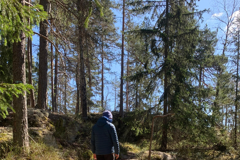 Oslo: escursione guidata nel Parco Nazionale di Østmarka con cibo cotto sul fuocoOslo: escursione guidata al Parco Nazionale di Østmarka con cibo sul fuoco