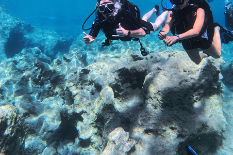 Discover Scuba Diving in Zakynthos – Beginner Experience