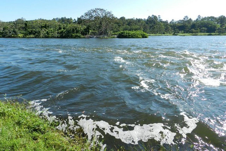 From Kampala/Entebbe: Mbarara Day Trip with Lunch & Guide