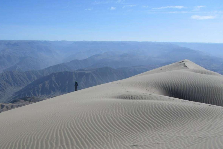 Excursion to San Fernando bay and Sandboarding in Nazca