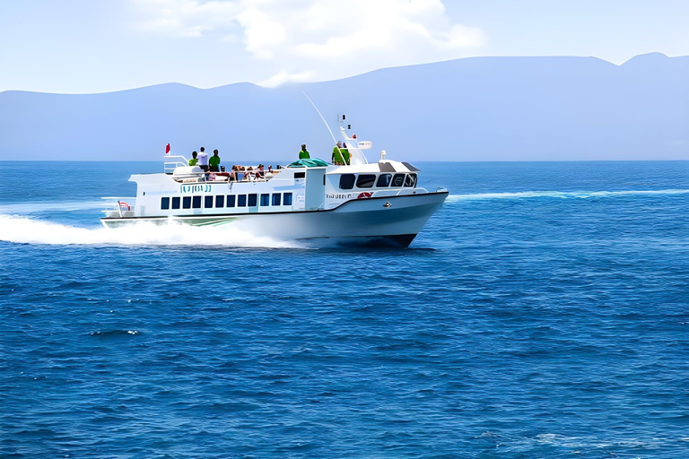 Between Amed: Gili Islands Fast Boat Transfer with Pickup Amed to Bangsal
